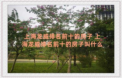 上海龙威排名前十的房子 上海龙威排名前十的房子叫什么